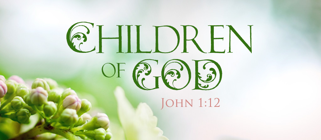 17th Sunday of the Year