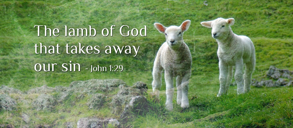 2nd Sunday in  Ordinary Time