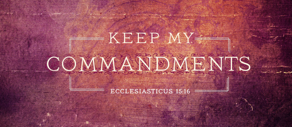 6th Sunday in  Ordinary Time