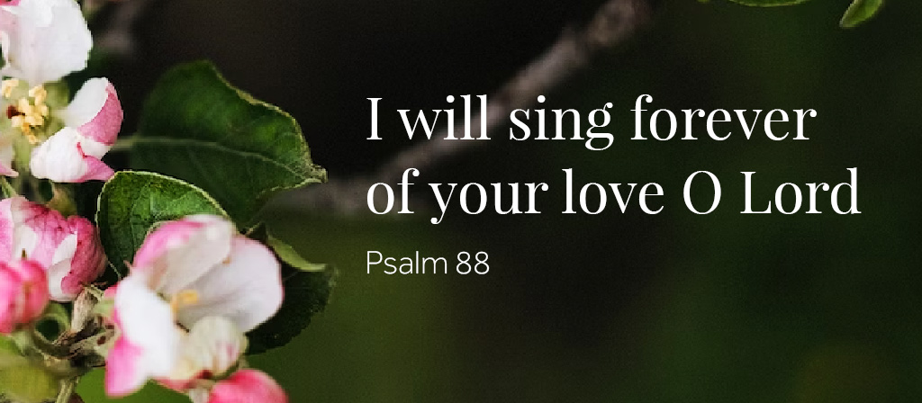 13h Sunday in Ordinary Time