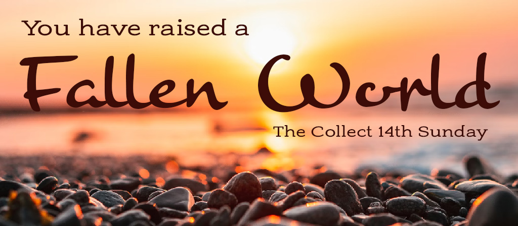 13th Sunday in Ordinary Time