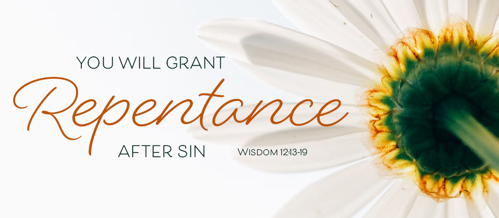 16th Sunday in Ordinary Time