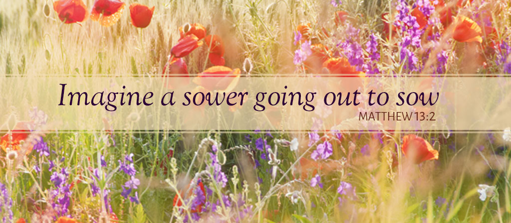 15th Sunday in Ordinary Time