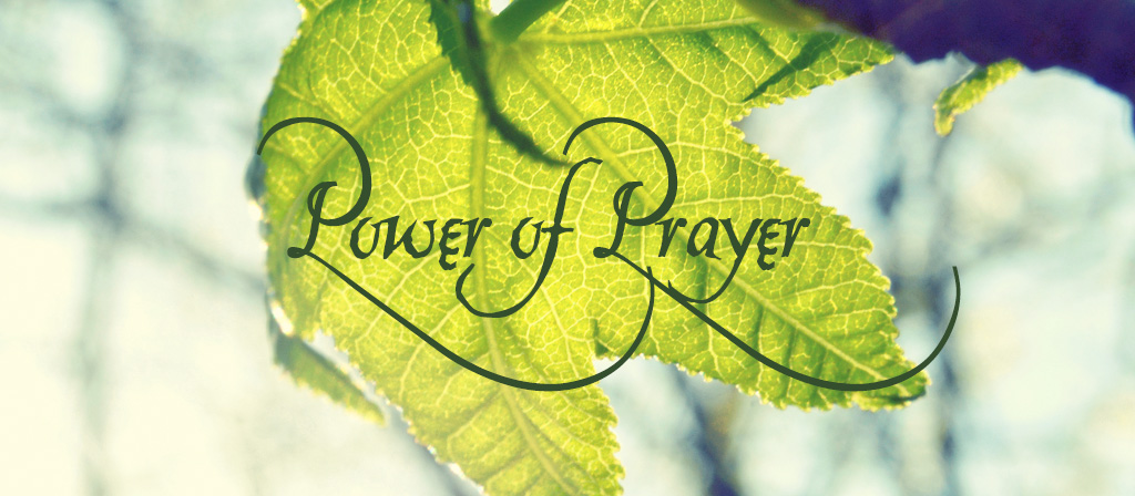 23rd Sunday in Ordinary Time