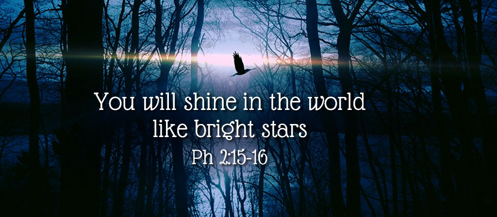 29h Sunday in Ordinary Time