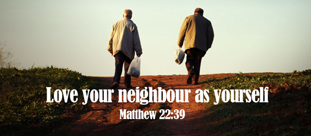 30th Sunday in Ordinary Time